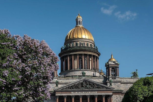 Kopuły katedry św Izaaka w Petersburgu Rosja 2022