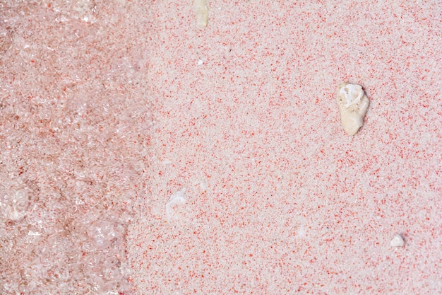 Zdjęcie koral na różowym piasku w pink beach w park narodowy komodo