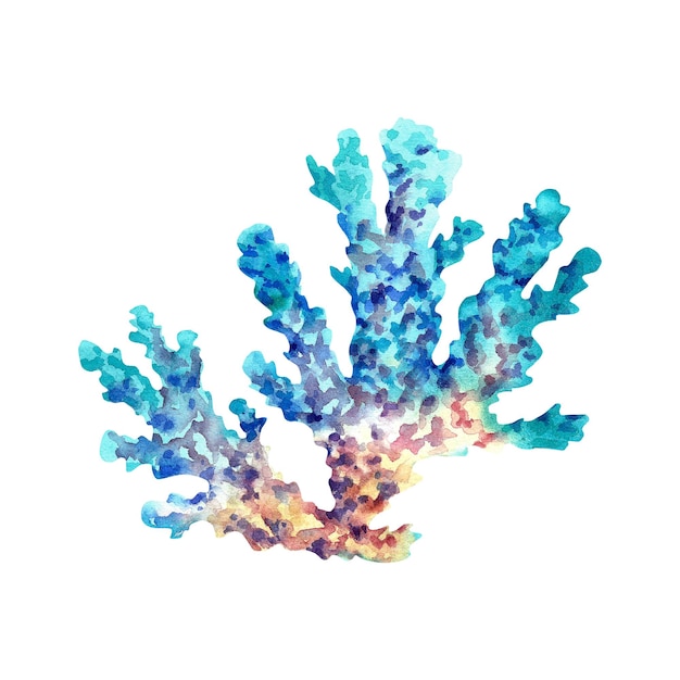 Korale morskie i muszla Akwarela ilustracja na odosobnionym tle Zwierzęta morskie Niebieskie koralowce