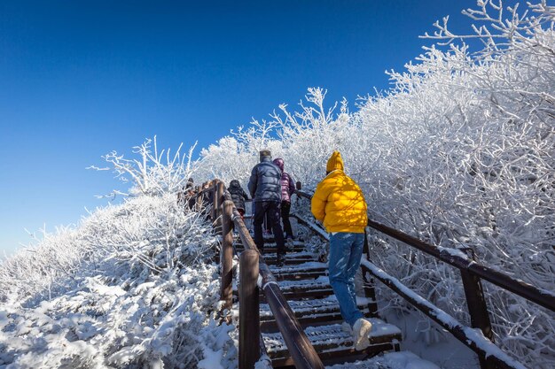 Korea Zima i turyści na szczycie góry Deogyusan w Parku Narodowym Deogyusan niedaleko Muju w Korei Południowej