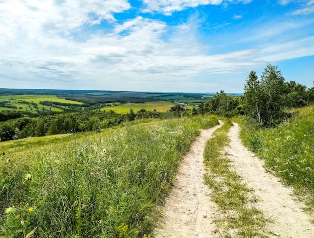 Koryta Drogi Wiejskiej Wsi Przez Pole Trawy I Pochmurne Niebo Powyżej