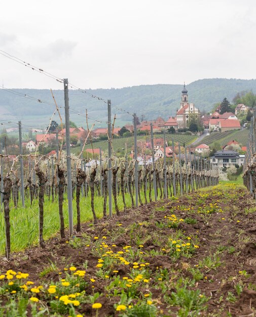 Kościół St Johannis Lub Johannes W Castell Niemcy