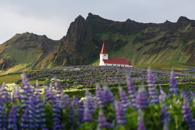 Kościół w mieście Vik Islandia