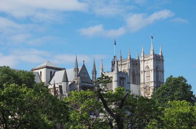 Kościół Westminster Abbey w Londynie