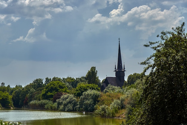 Kościół za drzewami