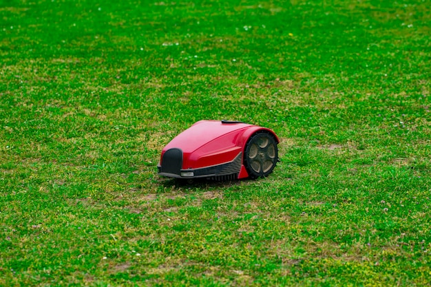 Kosiarka Robota Na Letniej łące W Ogrodzie Z Miejsca Na Kopię.