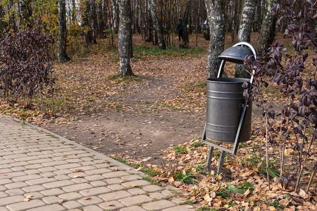 Zdjęcie kosz na śmieci w parku miejskim kosz na śmieci wykonany z metalu w zielonej trawie w otwartej naturze na tle brzóz ciesz się koncepcją po południu przy słonecznej pogodzie