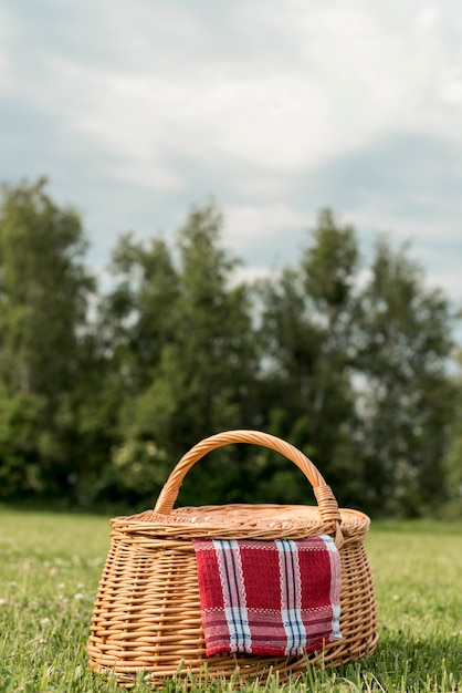Zdjęcie kosz piknikowy na trawie w parku