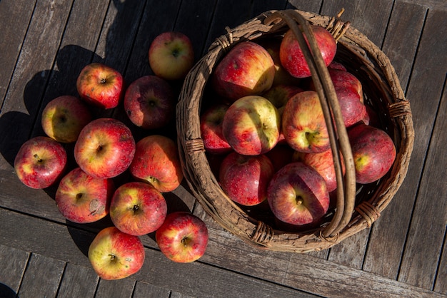 Kosz świeżych jabłek na drewnianym stole w ogrodzie