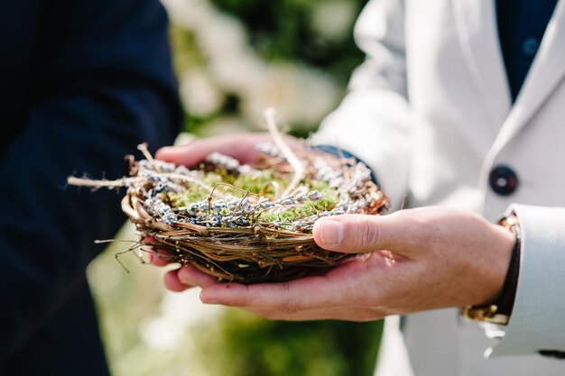 Kosz z kwiatami lawendy w rękach mężczyzny Aromaterapia Mężczyzna zbiera lawendę