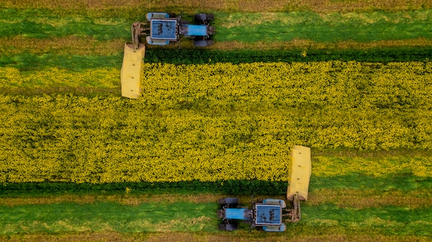 Koszenie Fotografii Lotniczej Ciągnika Rzepaku Za Pomocą Drona