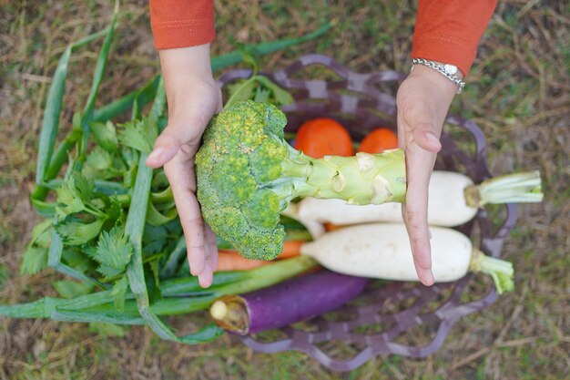 Koszyk pełen warzyw i weź jeden brokuł