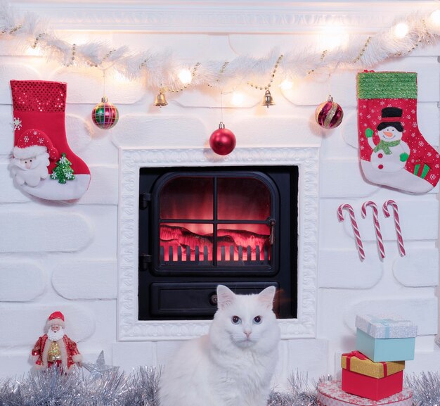 Kot na tle świątecznego kominka udekorowanego na Boże Narodzenie i zabawki Koncepcja nowego roku