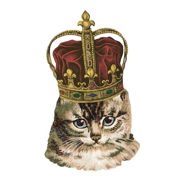 Kot noszący naklejkę korony przezroczysty png