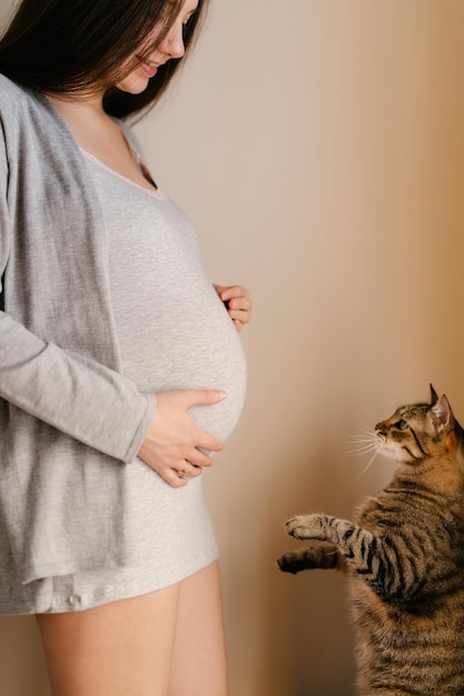 Kot pręgowany stoi na tylnych łapach przed ciężarną kobietą