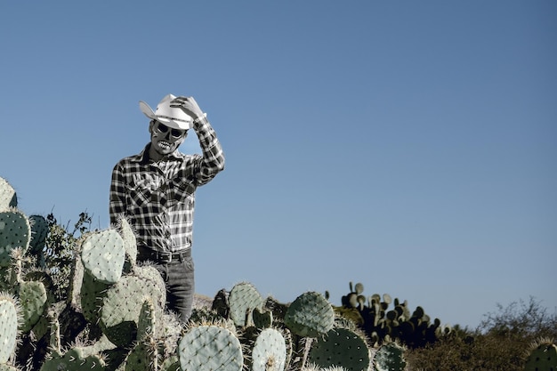 Kowboj Dia de Muertos na meksykańskiej pustyni w kapeluszu i makijażu czaszki podczas obchodów Dnia Zmarłych w Meksyku