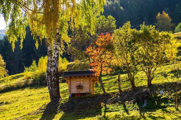 Krajobraz Alp Szwajcarskich jesienią