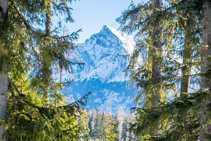 Zdjęcie krajobraz alpejskich gór z białym śniegiem i błękitnym niebem zachód słońca zima w przyrodzie mroźne drzewa w ciepłym świetle słonecznym cudowny zimowy krajobraz krywań tatry zachodnie słowacja