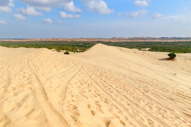 Krajobraz biała piasek diuny pustynia