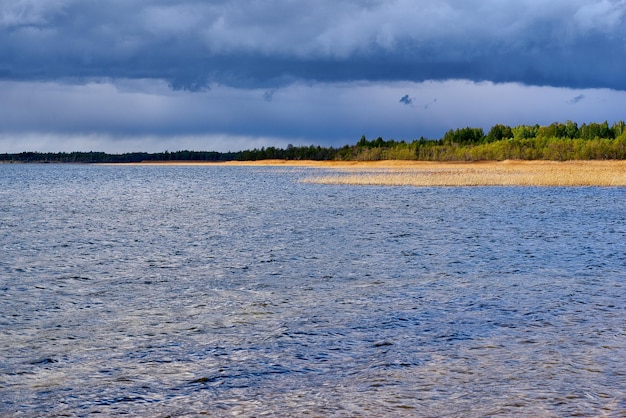 Krajobraz błękitnego jeziora z drzewami i trzcinową trawą na brzeg i burzowym zachmurzonym niebem