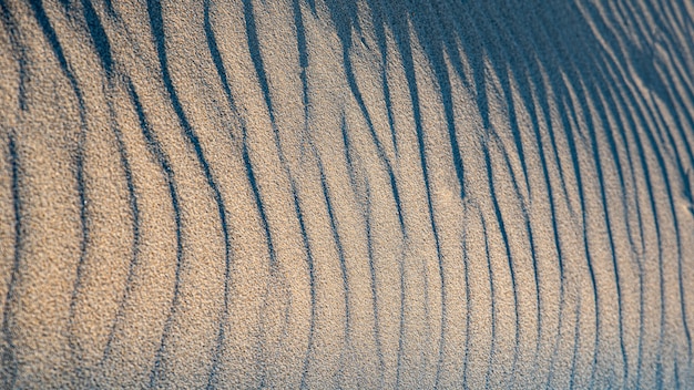 Krajobraz blisko piasku dziewiczej i pomarszczonej wiatrem plaży