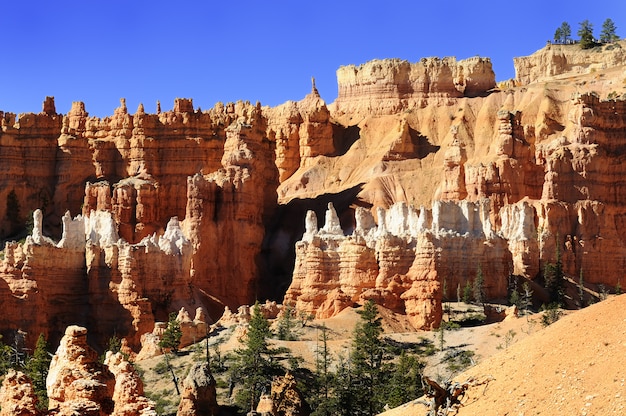 Krajobraz Bryce Canyon