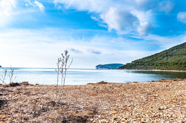 Krajobraz Capo Caccia z wybrzeża