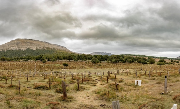 Krajobraz cmentarza Sad Hill w Burgos, Hiszpania pod ponurym