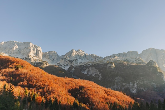 Krajobraz doliny przyrody alpejskiej i alpejskiej w valbone albania