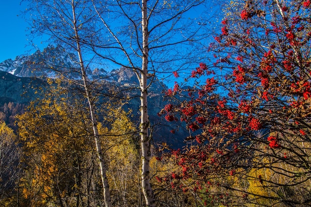 Krajobraz francuskich Alp jesienią