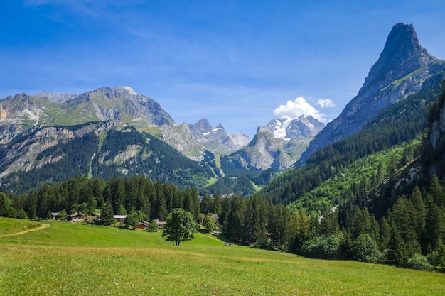 Krajobraz gór i pastwisk w Pralognan la Vanoise