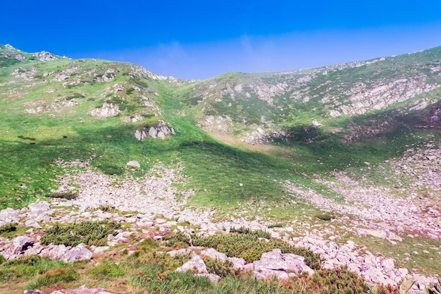Krajobraz gór Karpat