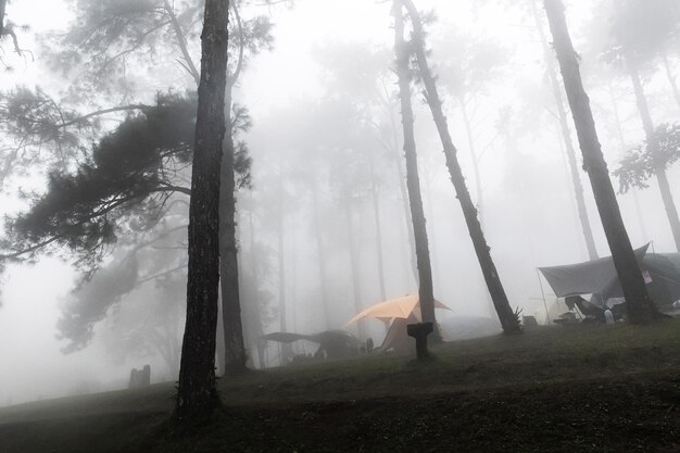 Zdjęcie krajobraz górski i namiot w mgle