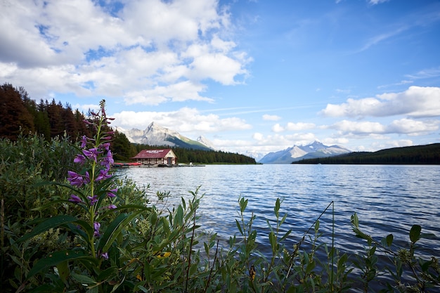 Krajobraz jeziora Maligne w Kanadzie