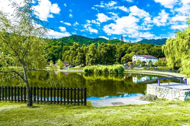 Krajobraz jeziora Noua i roślinności w sezonie letnim w mieście Brasov, Rumunia