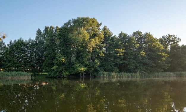 Krajobraz jeziora w lesie Piękne i kolorowe jezioro z czystym niebem