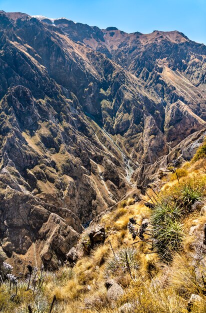 Krajobraz Kanionu Colca w Peru, jednego z najgłębszych kanionów na świecie