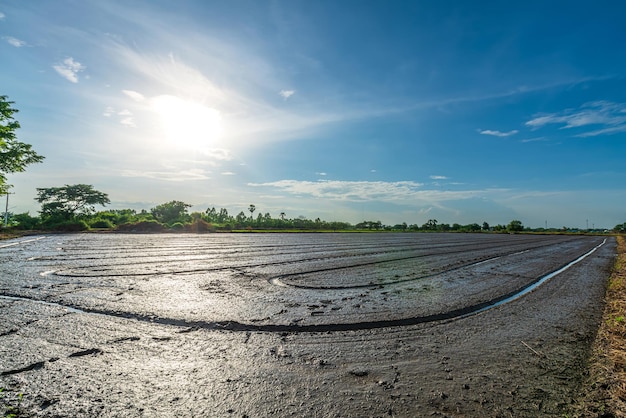 Krajobraz krajobrazowy błoto i woda na polu ryżowym Przygotowanie pola ryżowego do siewu nasion ryżu z puszystymi chmurami błękitne niebo światło dzienne tło