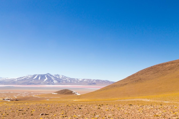 Krajobraz Laguna Colorada, Boliwia. Piękna boliwijska panorama. Czerwona laguna wodna