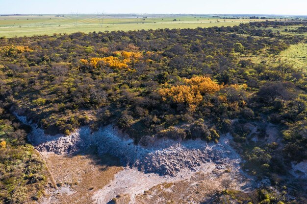 Krajobraz lasów Calden Prosopis Caldenia rośliny La Pampa prowincja Patagonia Argentyna