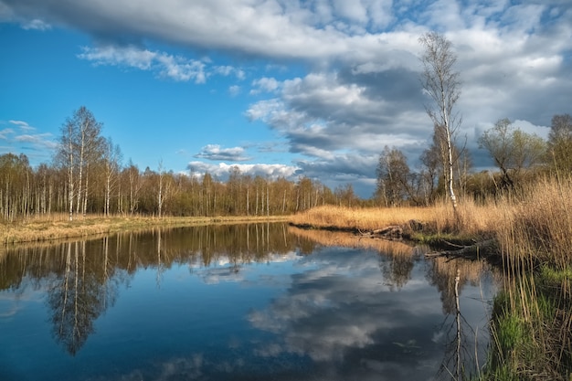 Krajobraz lato ze starym stawem, drzewa na brzegu i refleksji