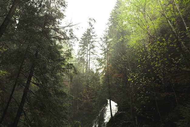 Krajobraz leśnego i górskiego wodospadu w lecie