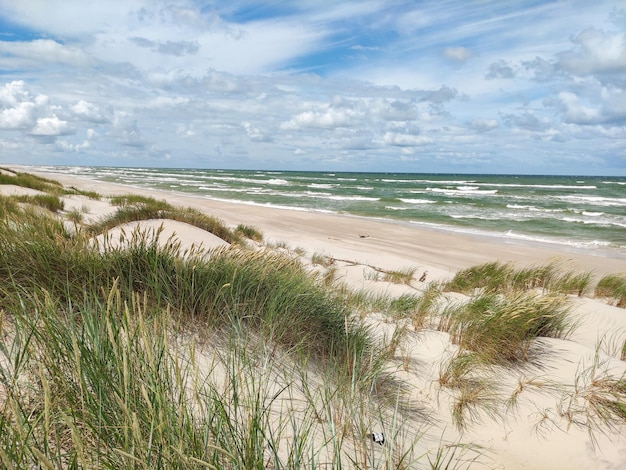 krajobraz linii brzegowej panoramy Morza Północnego od plaży