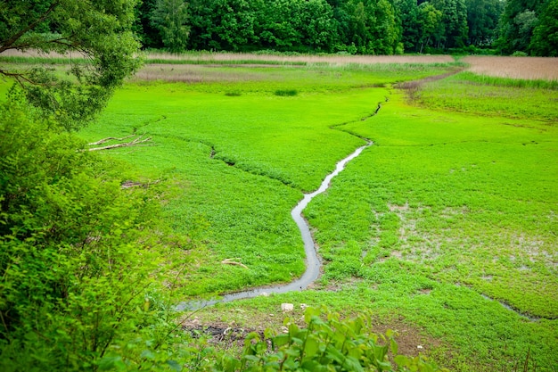 Krajobraz łotewskiej wsi z potokami i zielonym polem