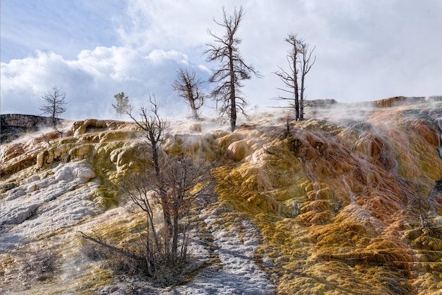 Krajobraz Mammoth Hot Springs W Parku Narodowym Yellowstone