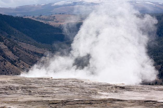 Krajobraz Mammoth Hot Springs w Parku Narodowym Yellowstone