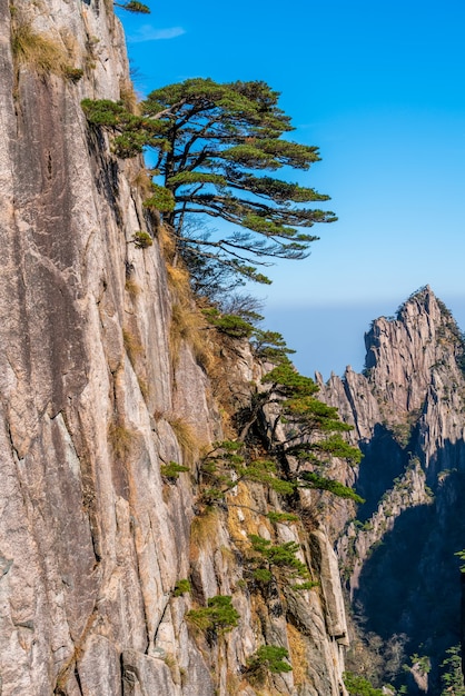 Zdjęcie krajobraz mount huangshan (żółte góry). światowego dziedzictwa unesco. znajduje się w huangshan, anhui, chiny.