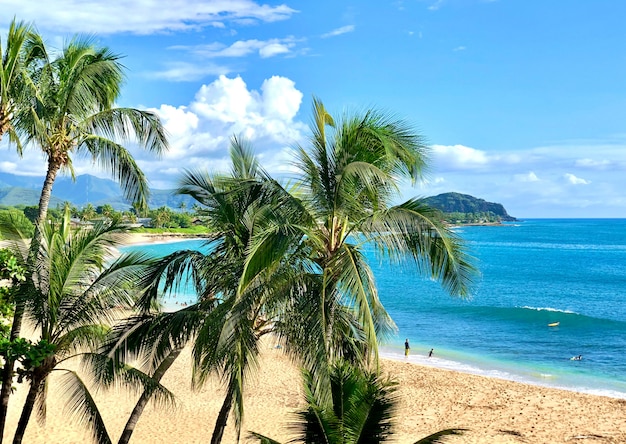 Krajobraz na Oahu na Hawajach.