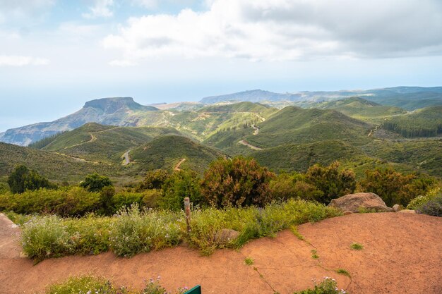 Krajobraz na szczycie Garajonay na Wyspach Kanaryjskich La Gomera