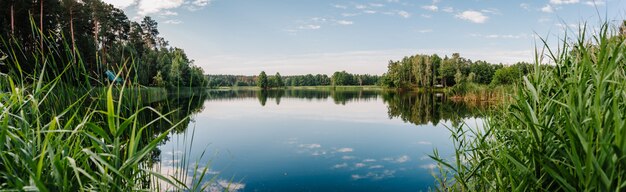 Krajobraz nad jeziorem, z żywym niebieskim niebem, białymi chmurami i drzewami odbijanymi symetrycznie w czystej, błękitnej wodzie.